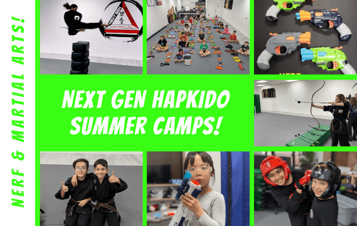 Martial Arts, Weapons & Tricking Camp