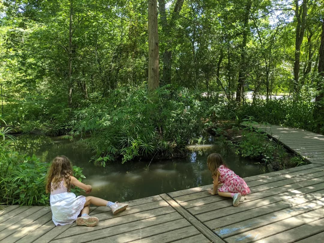Summer Science Mini-Camp (Incredible Insects)